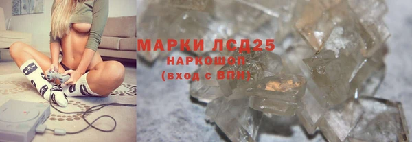 индика Нея