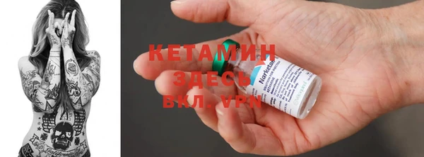 индика Нея