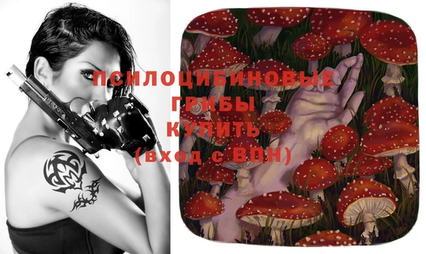 дмт Надым