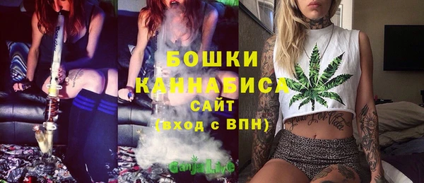 стаф Нефтекумск