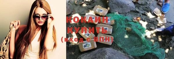 индика Нея