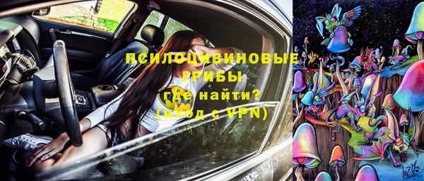 индика Нея