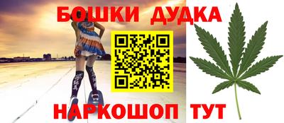 spice Гатчина