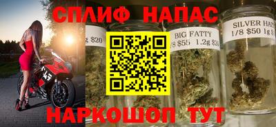 spice Гатчина