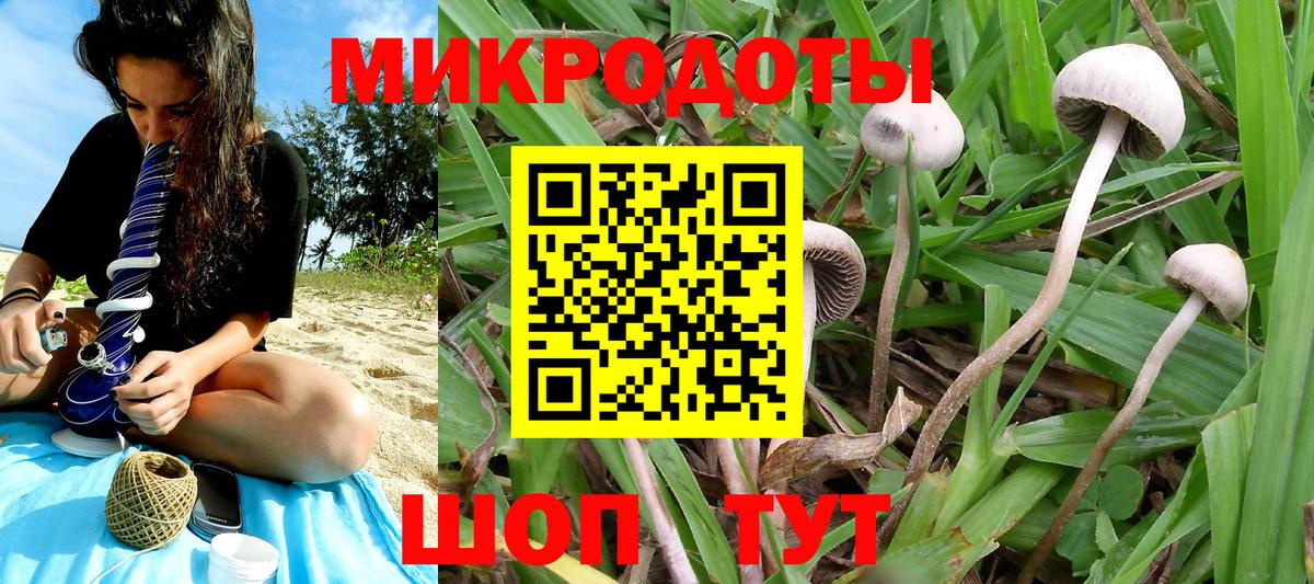 Псилоцибиновые грибы MAGIC MUSHROOMS Лысьва