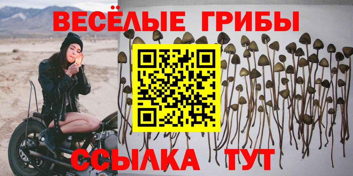Лысьва  Галлюциногенные грибы прущие грибы  Вход с VPN 