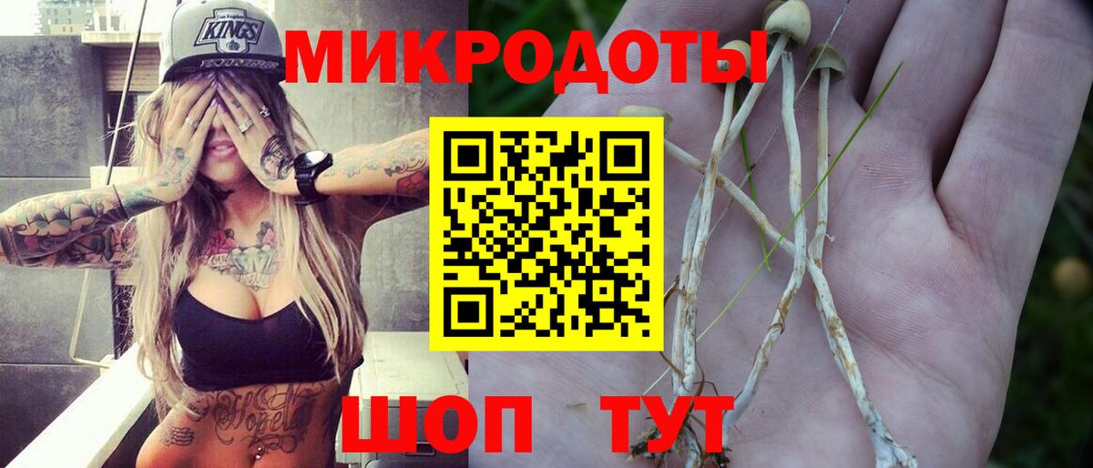 Галлюциногенные грибы прущие грибы Лысьва